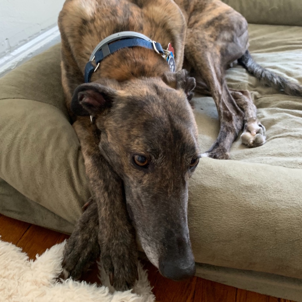 Meet your Posher, Justin